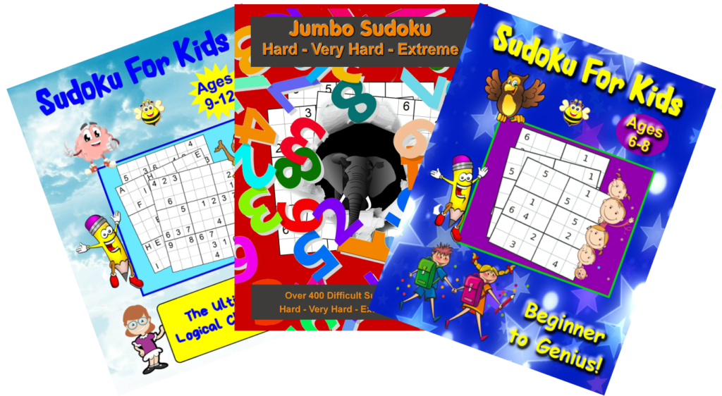 bundle of 3 colourful puzzle books