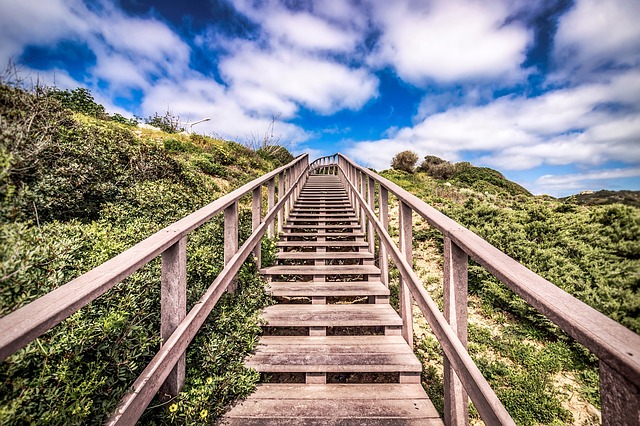 7 Steps to Finding Your Own Success