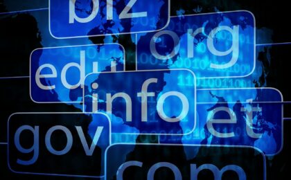 domain name information